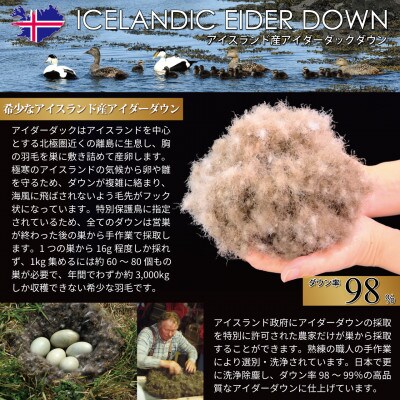 夏用 アイダーダウン98% 羽毛布団【肌掛け】ダブル アイダーダック 100x140番手 超長綿