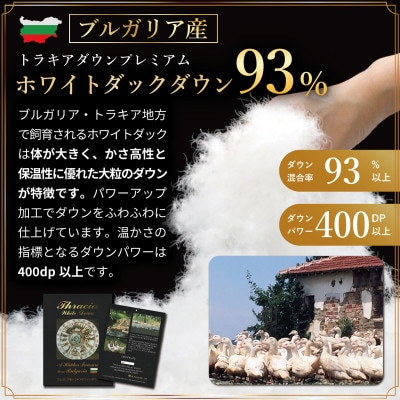 数量限定【訳アリ】羽毛布団セミダブル 色柄おまかせ ホワイトダウン93% 60番手サテン 日本製