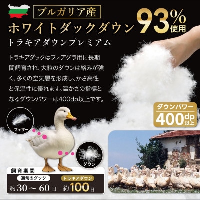 訳アリ 羽毛布団 セミダブル 色柄おまかせ 80番手 冬用 本掛け ホワイトダックダウン93% 日本