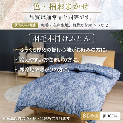 訳あり 羽毛布団 本掛け セミダブル 綿100% 80番手 冬用 色柄おまかせ ホワイトダウン93%