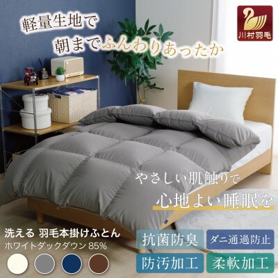 洗える羽毛布団 ダブル 冬用 ホワイトダックダウン85% グレー 無地 本掛け 1.6kg 抗菌防臭