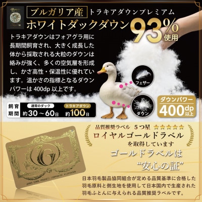 羽毛布団セミダブル 冬用 ホワイトダックダウン93% 60番手 グレー 綿100% 本掛け 日本製