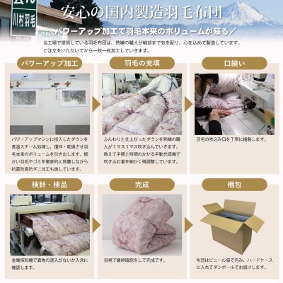 冬用 羽毛布団シングル ポーランド産マザーグースダウン95% 80番手 ゴールド 綿100% 本掛け