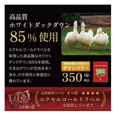 羽毛布団 合掛け キング 洗える 中厚 春秋 ホワイトダウン85% 1.6kg 無地 アイボリー