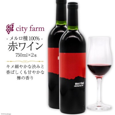 果実の凝縮味　赤ワイン　韮崎市穂坂産　メルロ100% 　750ml×2本