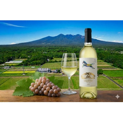甲州 2025 【Etude-2 低温発酵】 750ml×1本