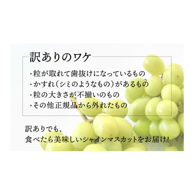 【2026年度発送!先行予約!】NS-1004 SDGs!粒シャインマスカット約1.0kg