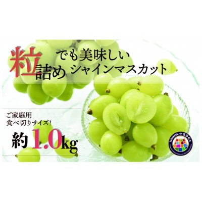 【2026年度発送!先行予約!】NS-1004 SDGs!粒シャインマスカット約1.0kg