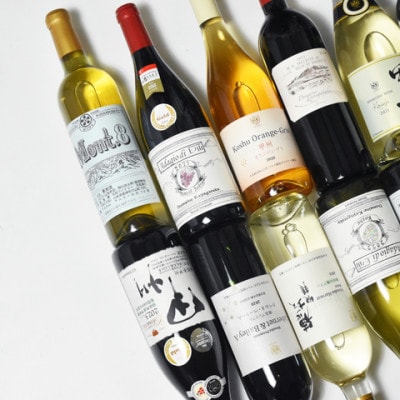 韮崎市産ワイン 韮崎翠緑厳選! おまかせ6本セット(NS-0014)