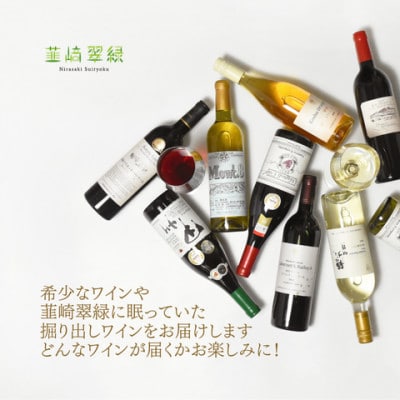 韮崎市産ワイン 韮崎翠緑厳選! おまかせ6本セット(NS-0014)