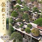 受賞歴多数の盆栽芸術家『秋山実』と選ぶ 盆栽購入チケット 60,000円分　【ふるさと納税限定】