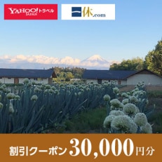 【山梨県韮崎市】一休.com・Yahoo!トラベル割引クーポン(30,000円分)