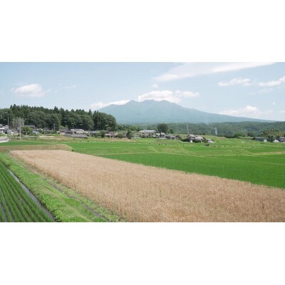 全粒粉パン 3個セット