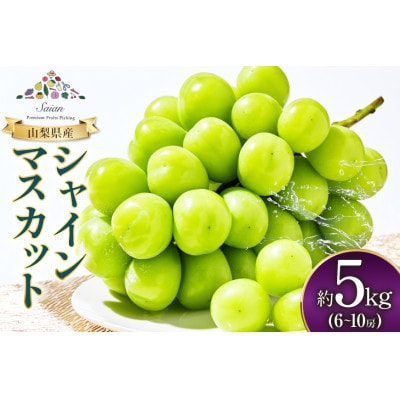 【期間限定発送】山梨県産 シャインマスカット 約5kg(6～10房)