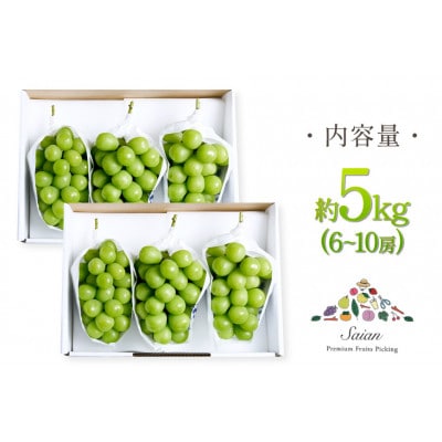【期間限定発送】山梨県産 シャインマスカット 約5kg(6～10房)