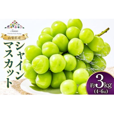 【期間限定発送】山梨県産 シャインマスカット 約3kg(4～6房)