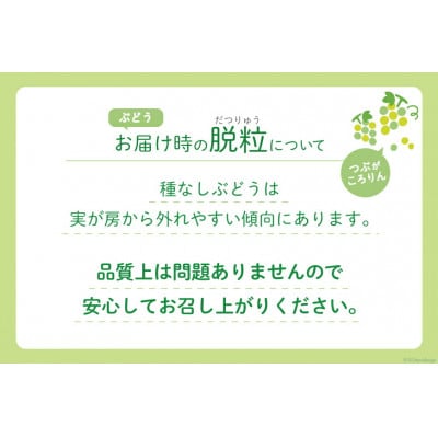 【期間限定発送】山梨県産 シャインマスカット 約3kg(4～6房)