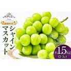 【期間限定発送】 山梨県産 シャインマスカット 約1.5kg(2～3房)