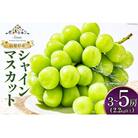 【2025年発送】山梨県産 シャインマスカット3～5房 (2.2kg以上)
