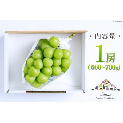 【2025年発送】山梨県産シャインマスカット1房(600～700g)