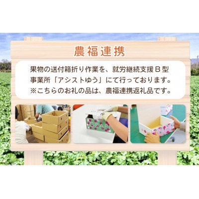 【2025年発送】山梨県産シャインマスカット1房(600～700g)