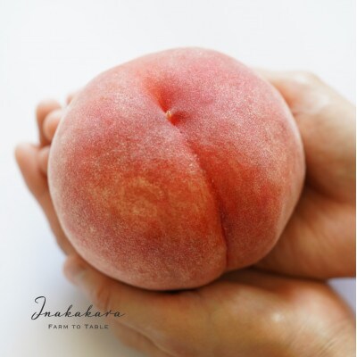 《韮崎市産》 Inakakara特選 桃の詰め合わせ セレブダイヤモンド桃 大玉桃 約400g×4玉