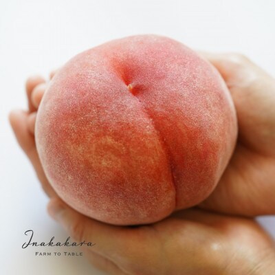《韮崎市産》Inakakara プレミアム桃 約300g×6玉