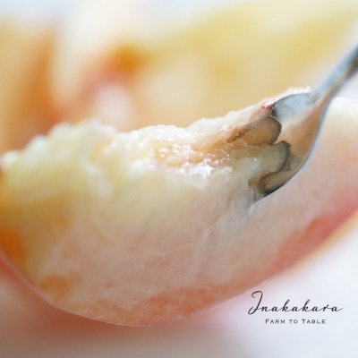 《韮崎市産》Inakakara プレミアム桃 約300g×4玉