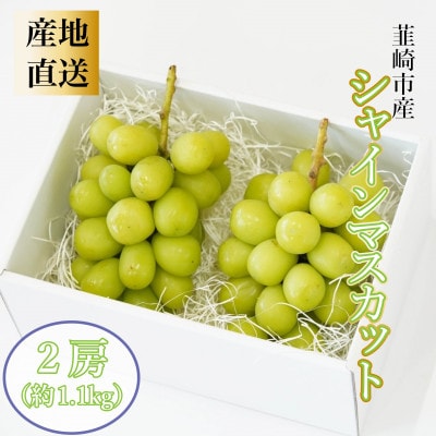 Inakakara 韮崎市産シャインマスカット2房(約1.1kg)