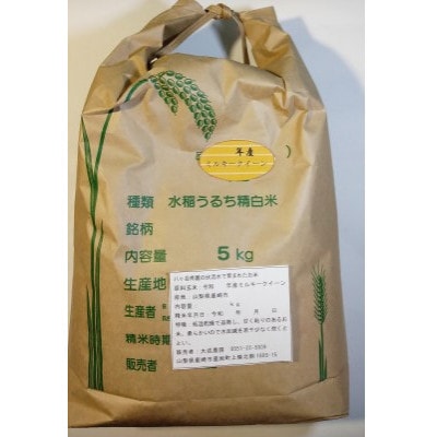 お米(白米)R5年産・ミルキークイーン5kg
