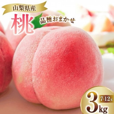 桃 3kg (7～12玉) 山梨県韮崎市　【令和7年産 先行受付】産地直送 季節限定