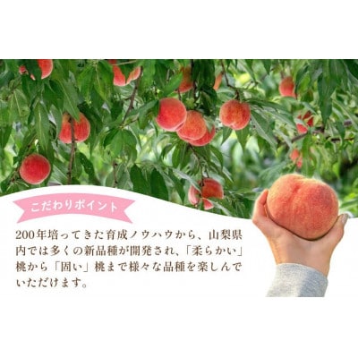 桃 3kg (7～12玉) 山梨県韮崎市　【令和7年産 先行受付】産地直送 季節限定