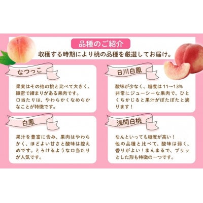 桃 3kg (7～12玉) 山梨県韮崎市　【令和7年産 先行受付】産地直送 季節限定