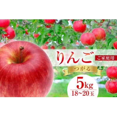 【 数量限定 】 【2024年発送】 訳あり りんご つがる 5kg　 18～20玉