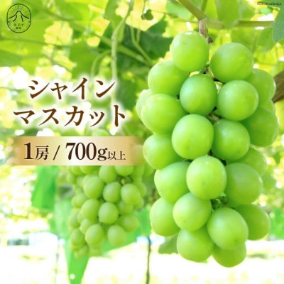 【胸キュンをお届け】シャインマスカット1房 700g以上