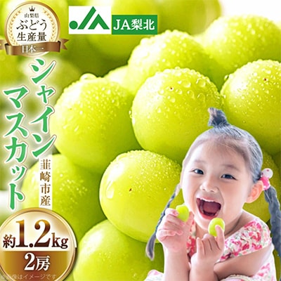 【2025年9月発送】シャインマスカット 約1.2kg(2房) 山梨県産 冷蔵発送