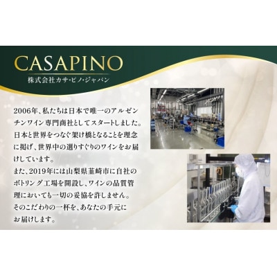 ワイン 赤 シエロアンディーノ・レッド 720ml 12本セット