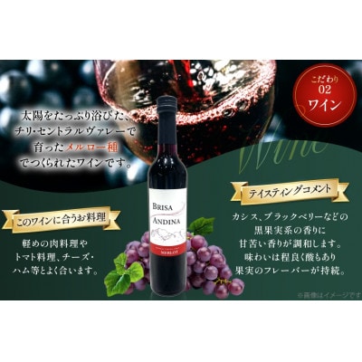 ワイン 赤 ブリサ・アンディーナ メルロー 　500ml 12本セット