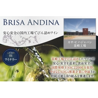 白ワイン　ブリサ・アンディーナ ソーヴィニヨンブラン　500ml 12本セット