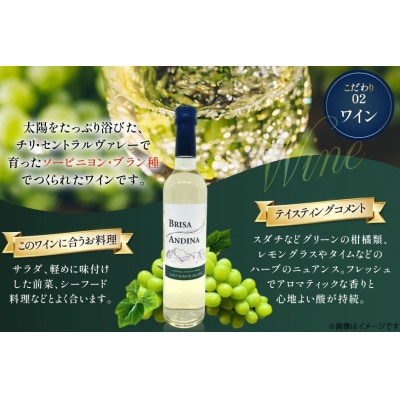 白ワイン　ブリサ・アンディーナ ソーヴィニヨンブラン　500ml 12本セット