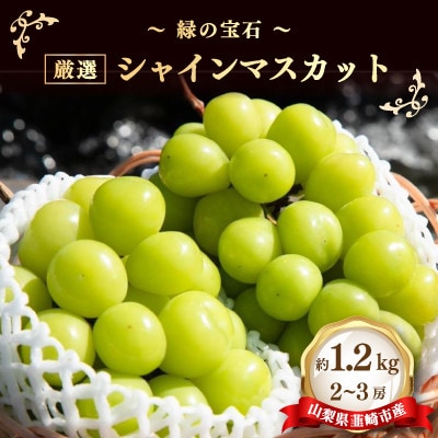 ～緑の宝石～ 厳選 シャインマスカット 約1.2kg(2～3房)　山梨県韮崎市産【2026年発送】
