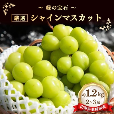 ～緑の宝石～ 厳選 シャインマスカット 約1.2kg(2～3房)　山梨県韮崎市産【2026年発送】 | ふるさと納税のお礼品