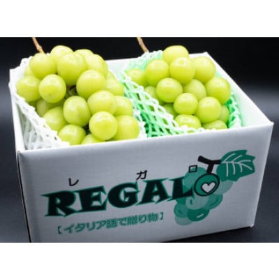 ～緑の宝石～ 厳選 シャインマスカット 約1.2kg(2～3房)　山梨県韮崎市産【2026年発送】