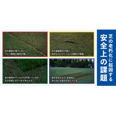 【返礼品なし】「全力の舞台を守れ」フィールド再生プロジェクト(寄付金額1,000円)|韮崎市