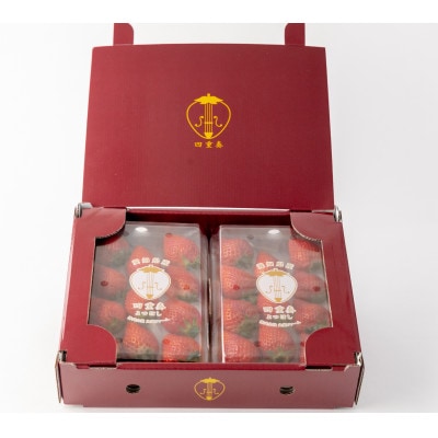 【愛知県・みよし市】ブランドいちご 完熟よつぼし『四重奏』(約260g×2パック)化粧箱入り