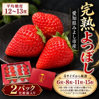 【産直】完熟よつぼし『四重奏』　愛知県みよし市　2パック(約500g)