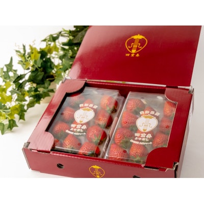 【産直】完熟よつぼし『四重奏』　愛知県みよし市　4パック(約1kg)