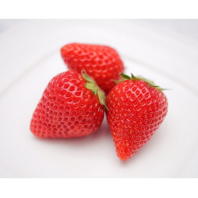 【産直】冷凍いちご　よつぼし　愛知県みよし市　1Kg