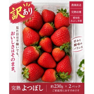 【訳あり・家庭用】【産直】完熟よつぼし　規格外 2パック(約460g)