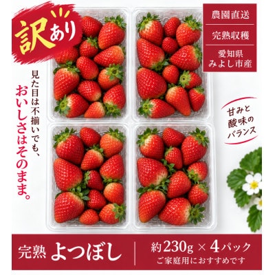 【訳あり・家庭用】【産直】完熟よつぼし　規格外 4パック(約920g)